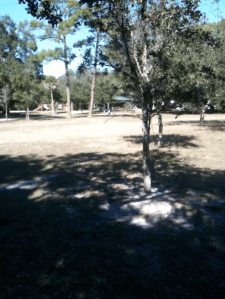 North Watertower Park